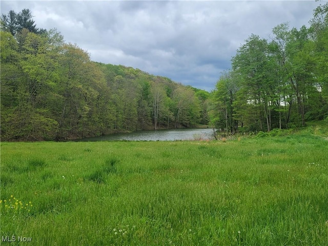 view of yard with a view of trees and a water view