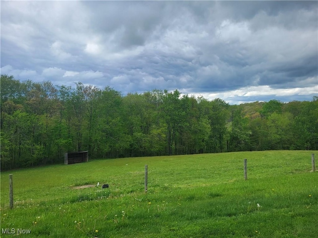 view of green lawn with a view of trees and a rural view