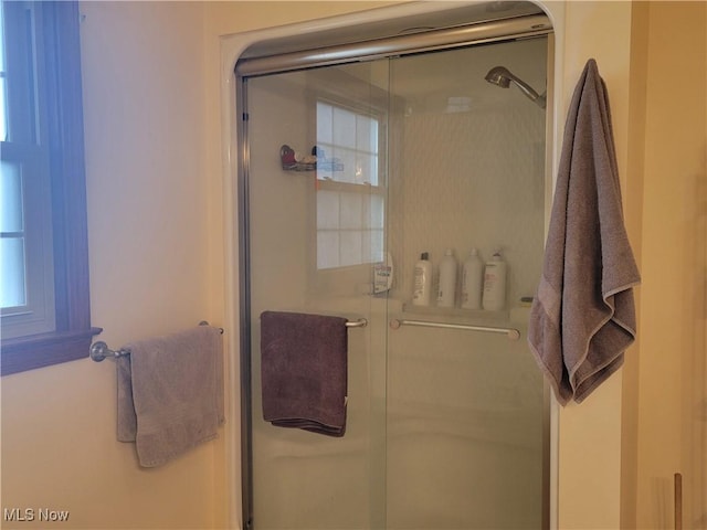 full bath featuring a shower stall