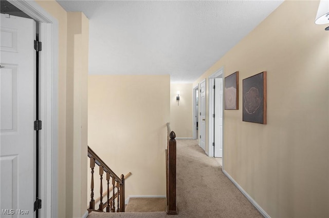 16538 S White Oaks Dr, Strongsville, OH 44136 - hallway with an upstairs landing, carpet floors, and baseboards