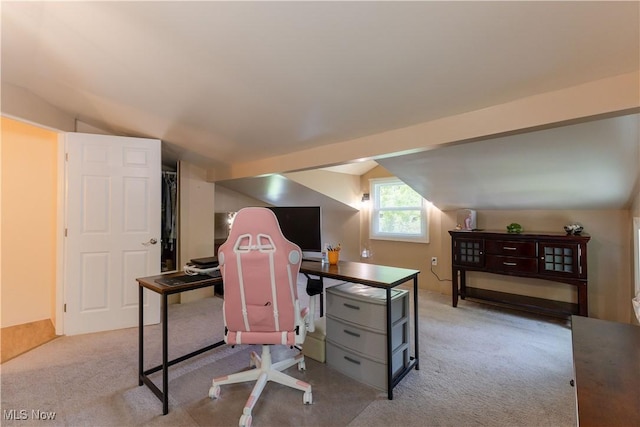 274 2nd St, Lake Milton, OH 44429 - office area with carpet flooring and lofted ceiling