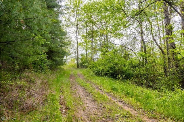 Bettinger Ridge Rd, Caldwell, OH 43724