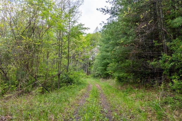 Bettinger Ridge Rd, Caldwell, OH 43724