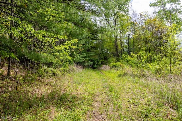 Bettinger Ridge Rd, Caldwell, OH 43724
