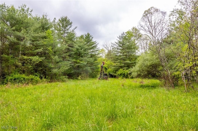 Bettinger Ridge Rd, Caldwell, OH 43724