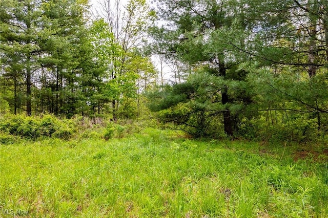 Bettinger Ridge Rd, Caldwell, OH 43724
