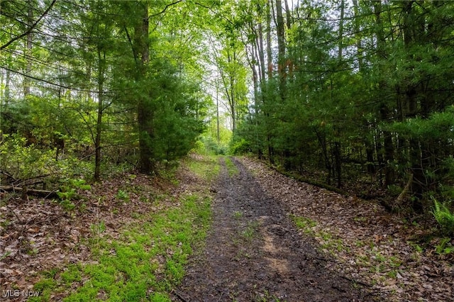 Bettinger Ridge Rd, Caldwell, OH 43724