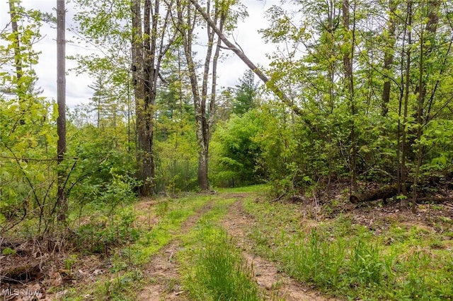 Bettinger Ridge Rd, Caldwell, OH 43724