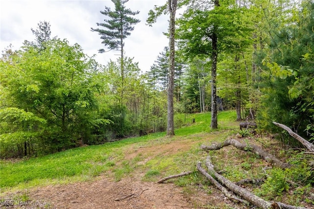 Bettinger Ridge Rd, Caldwell, OH 43724