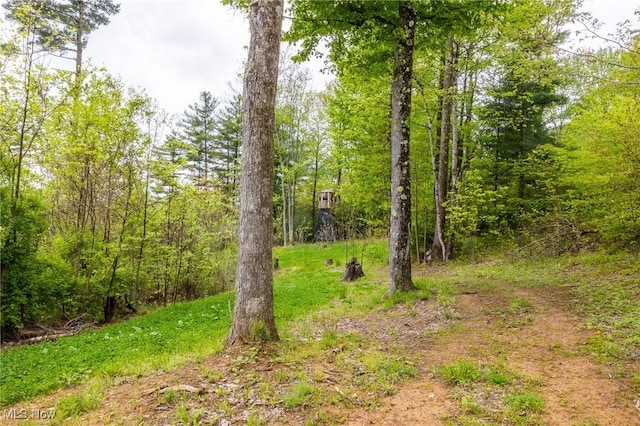 Bettinger Ridge Rd, Caldwell, OH 43724