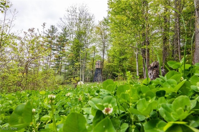 Bettinger Ridge Rd, Caldwell, OH 43724