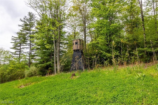 Bettinger Ridge Rd, Caldwell, OH 43724