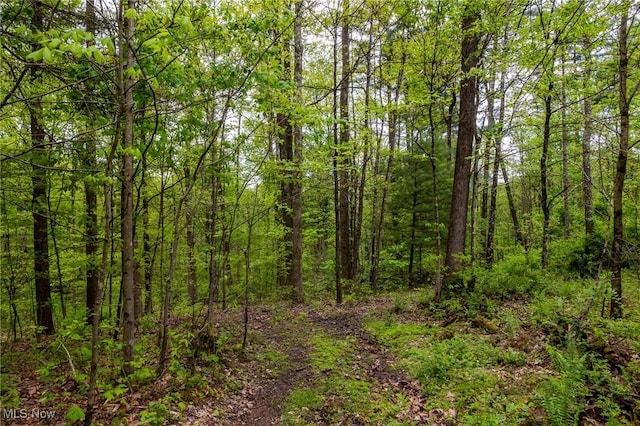 Bettinger Ridge Rd, Caldwell, OH 43724