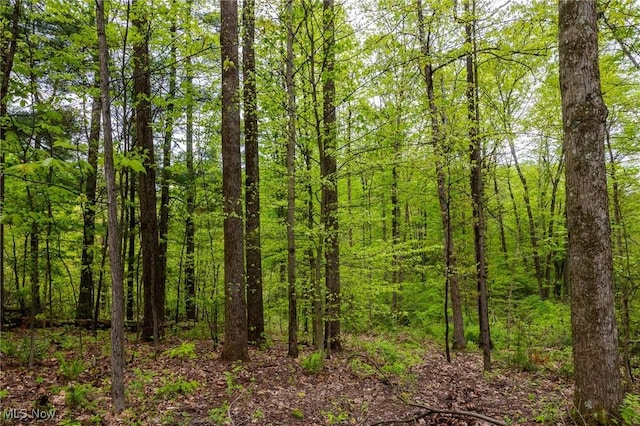 Bettinger Ridge Rd, Caldwell, OH 43724