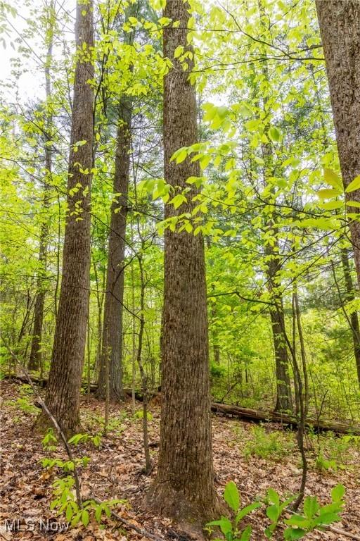 Bettinger Ridge Rd, Caldwell, OH 43724