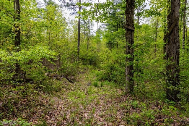 Bettinger Ridge Rd, Caldwell, OH 43724