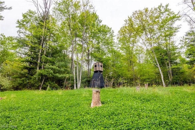 Bettinger Ridge Rd, Caldwell, OH 43724