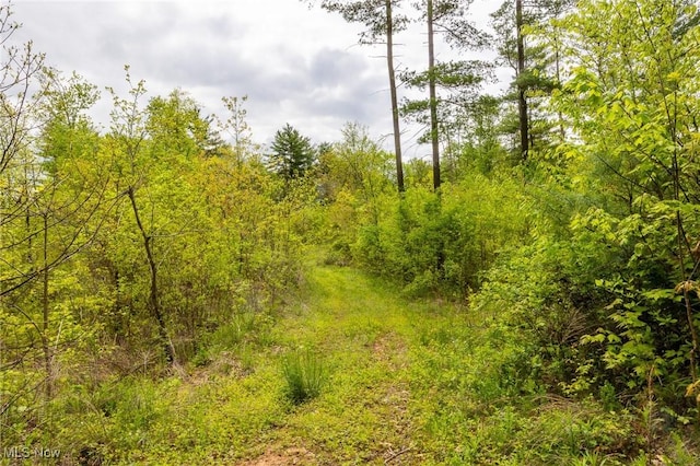 Bettinger Ridge Rd, Caldwell, OH 43724