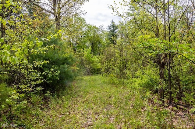 Bettinger Ridge Rd, Caldwell, OH 43724