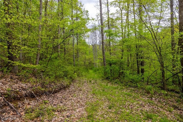 Bettinger Ridge Rd, Caldwell, OH 43724