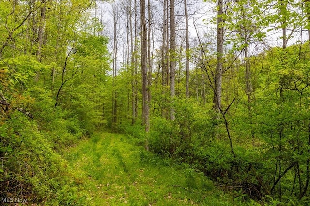 Bettinger Ridge Rd, Caldwell, OH 43724
