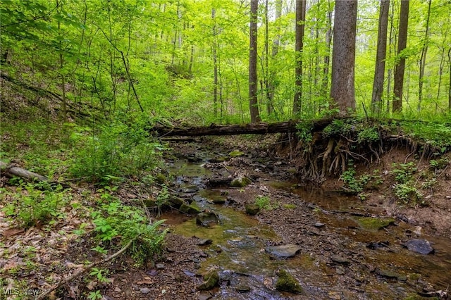 Bettinger Ridge Rd, Caldwell, OH 43724