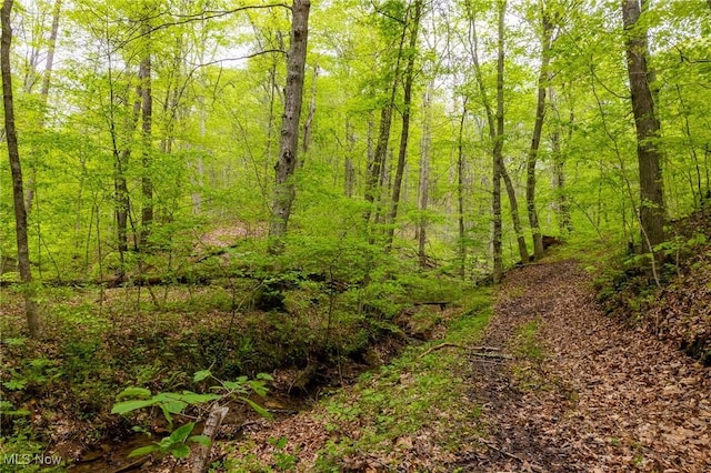 Bettinger Ridge Rd, Caldwell, OH 43724