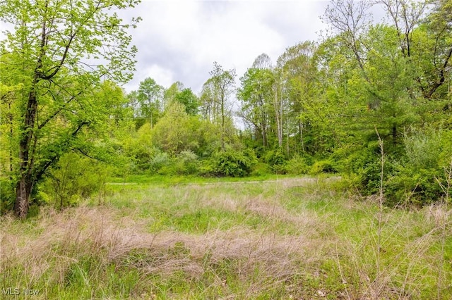 Bettinger Ridge Rd, Caldwell, OH 43724
