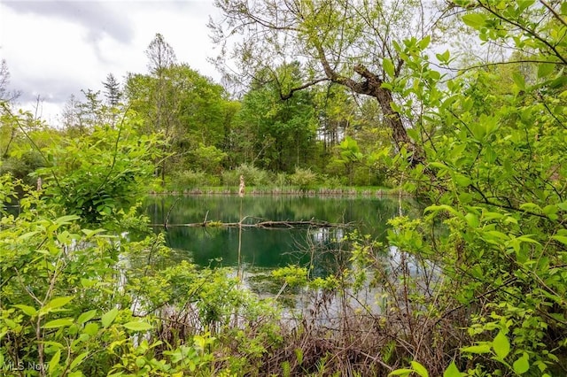 Bettinger Ridge Rd, Caldwell, OH 43724