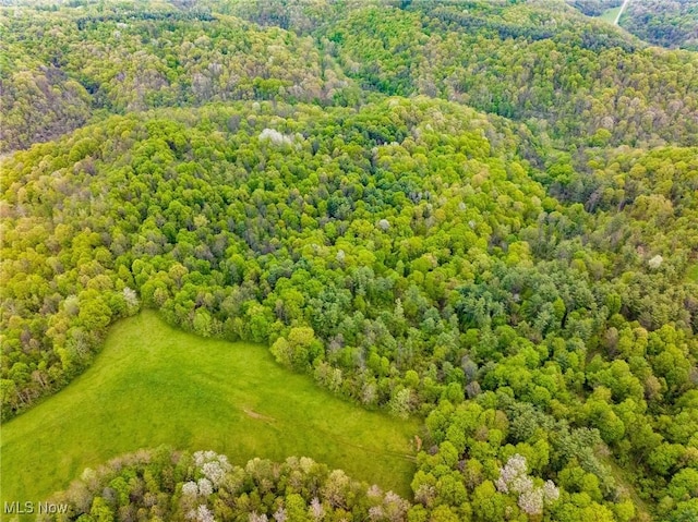 Bettinger Ridge Rd, Caldwell, OH 43724