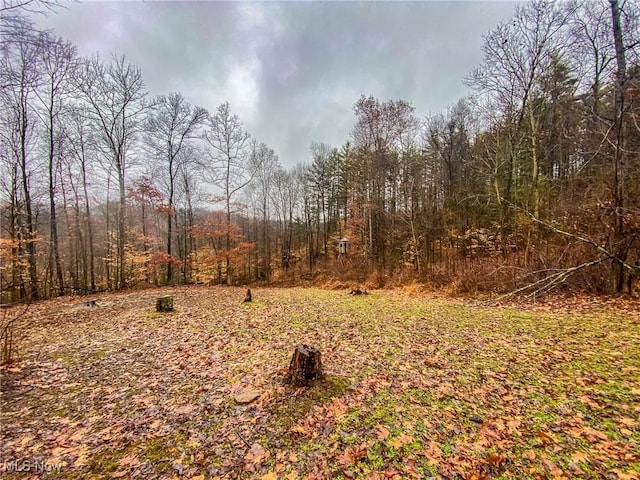 Bettinger Ridge Rd, Caldwell, OH 43724