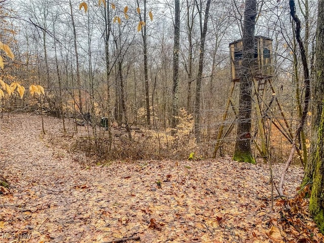Bettinger Ridge Rd, Caldwell, OH 43724