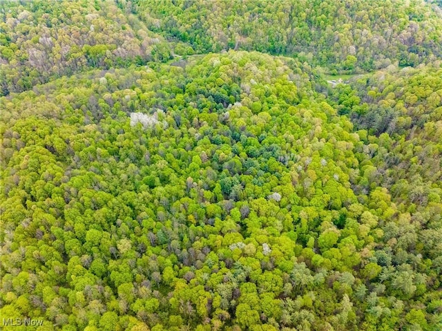 Bettinger Ridge Rd, Caldwell, OH 43724