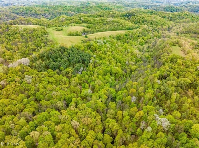 Bettinger Ridge Rd, Caldwell, OH 43724