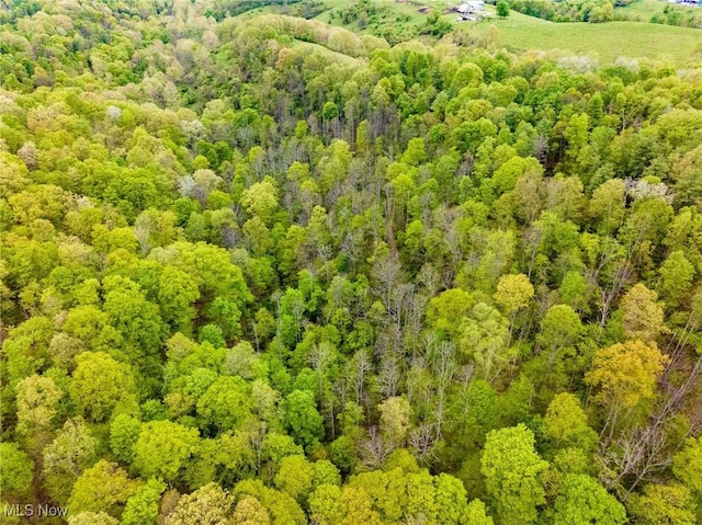 Bettinger Ridge Rd, Caldwell, OH 43724