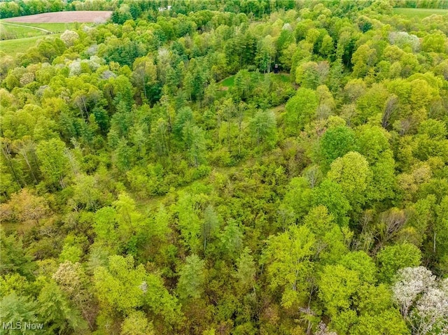 Bettinger Ridge Rd, Caldwell, OH 43724