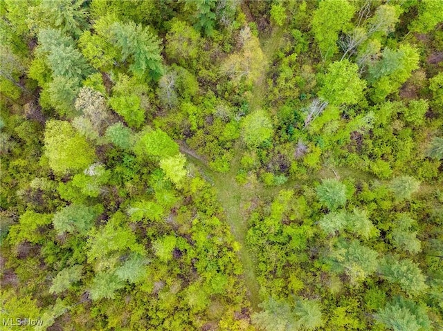 Bettinger Ridge Rd, Caldwell, OH 43724