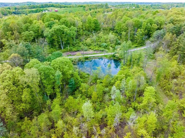 Bettinger Ridge Rd, Caldwell, OH 43724