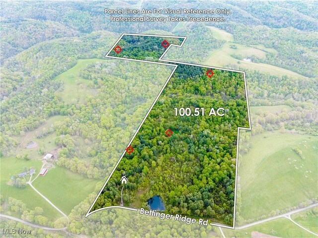 Bettinger Ridge Rd, Caldwell, OH 43724