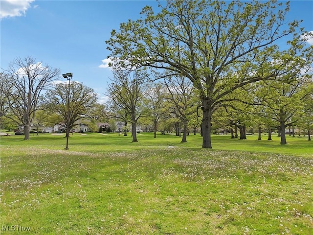view of home's community with a yard