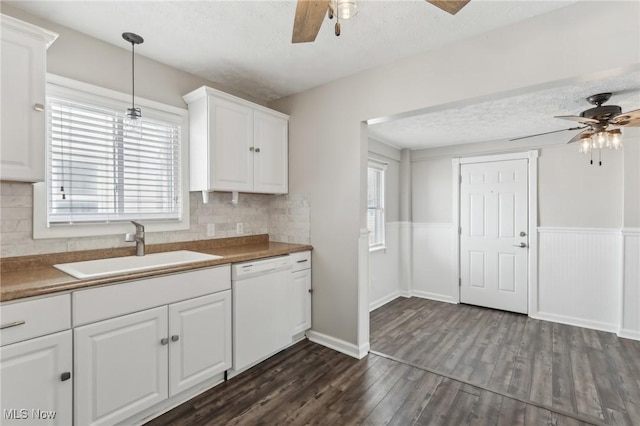kitchen with a ceiling fan, dishwasher, a sink, dark wood-style floors, and wainscoting
