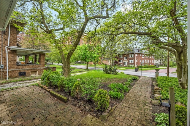 103 N Portage Path, Akron, OH 44303 - view of yard