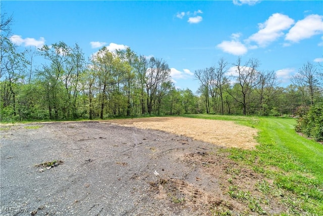 2394 Reimer Rd, Wadsworth, OH 44281 - view of yard with a forest view