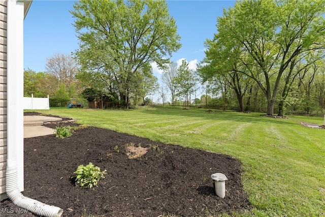 548 51st St SW, Canton, OH 44706 - view of green lawn