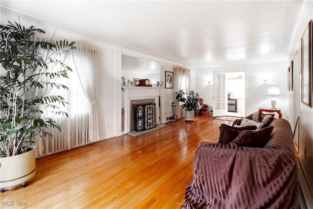 living room with wood finished floors