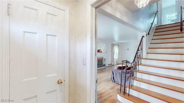 3698 Washington Blvd, University Heights, OH 44118 - photo 10
