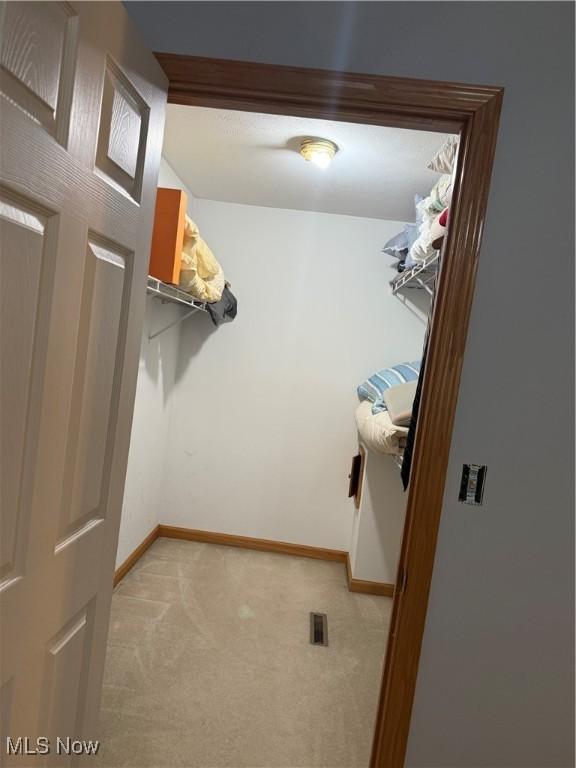 5778 Herbert Rd, Canfield, OH 44406 - photo 28