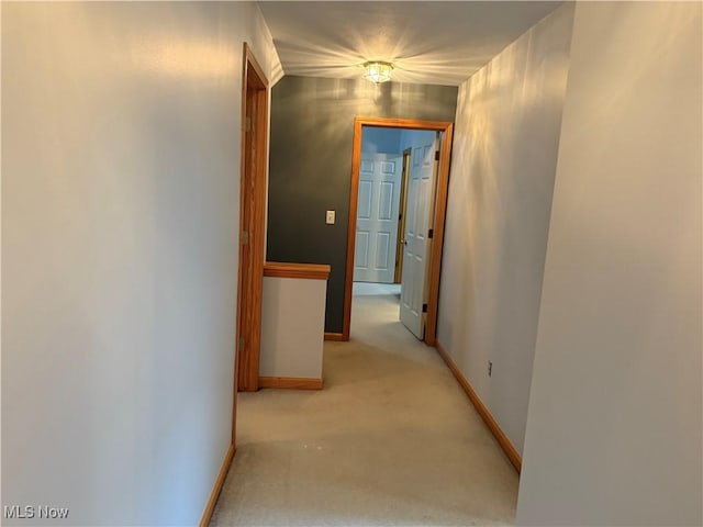 5778 Herbert Rd, Canfield, OH 44406 - photo 35