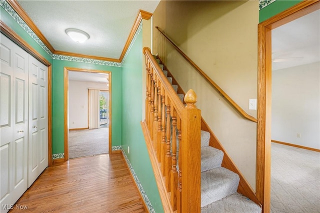 4165 Timber Run, Ravenna, OH 44266 - photo 6