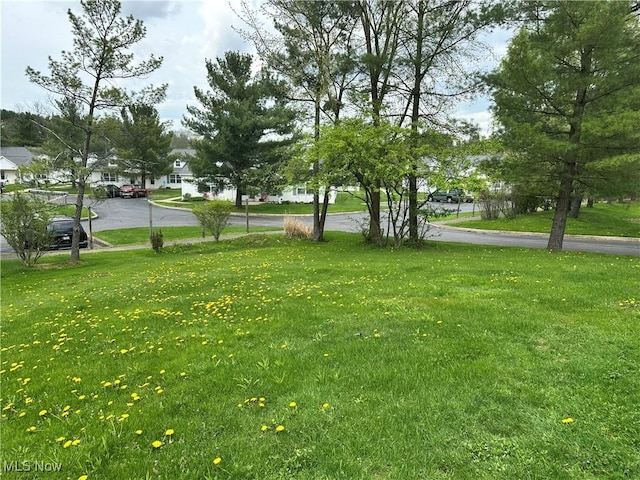 view of grassy yard with a residential view